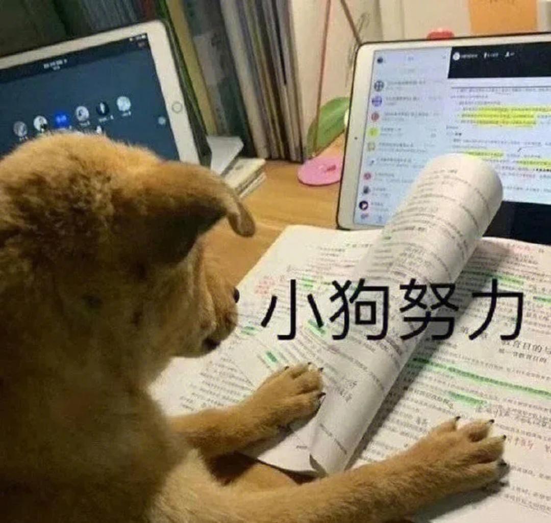 健康生活10086