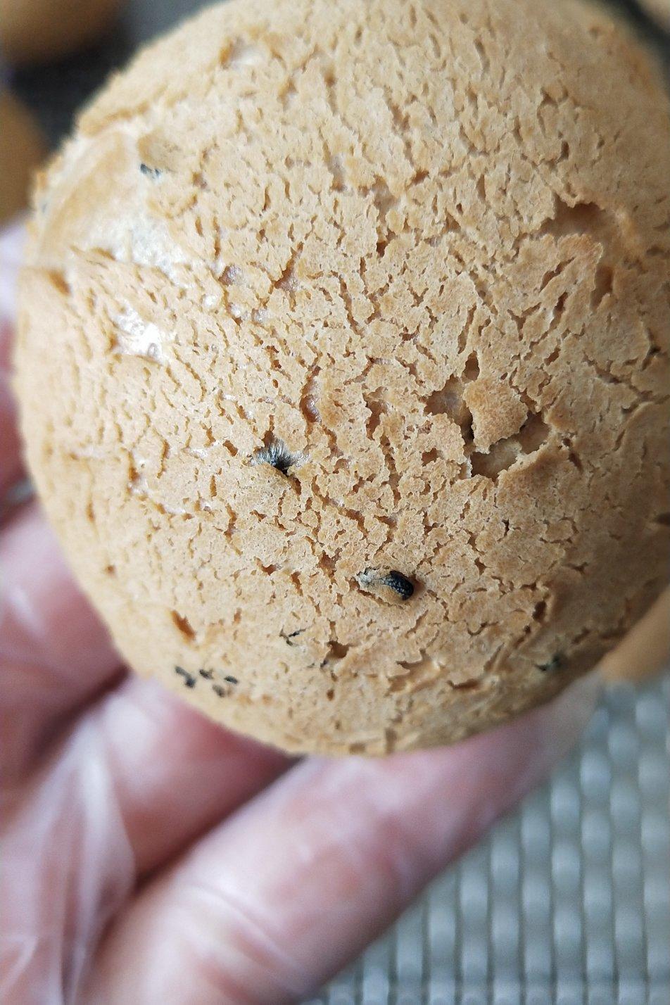 一次成功的麻薯包、恐龙蛋