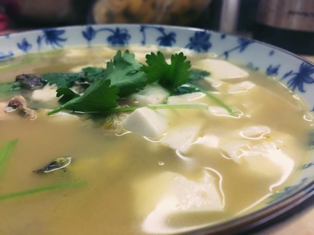 昂子鱼豆腐汤