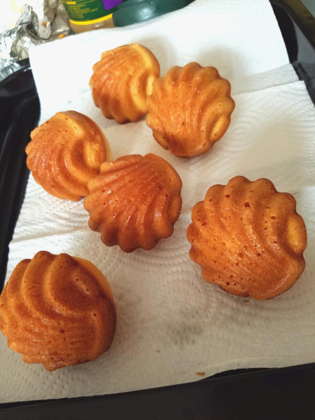 玛德琳（蓝带方）