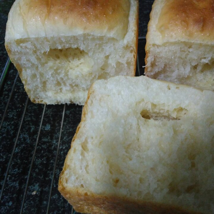 简单白吐司～17小时冷藏中种