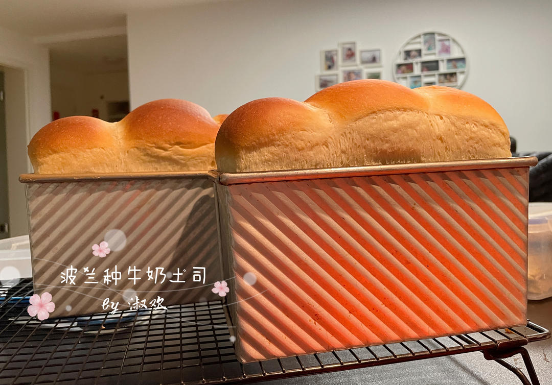 波兰种牛奶土司