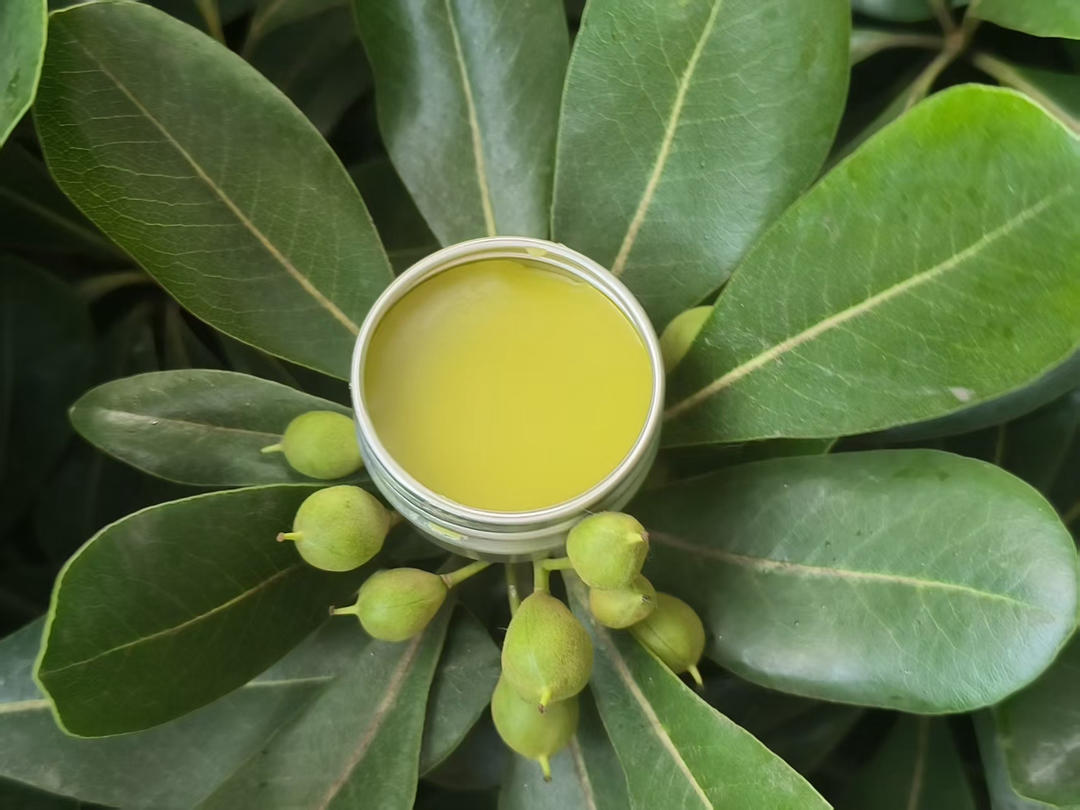 艾草薄荷膏/植物驱蚊水，做法可延伸紫草膏