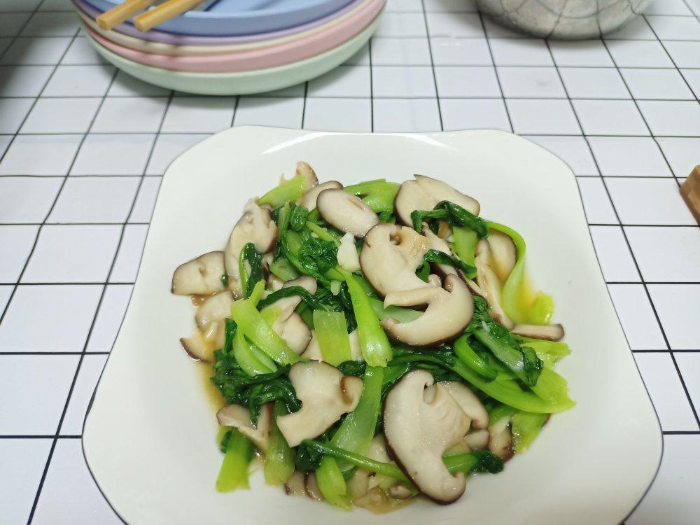 青菜烧香菇