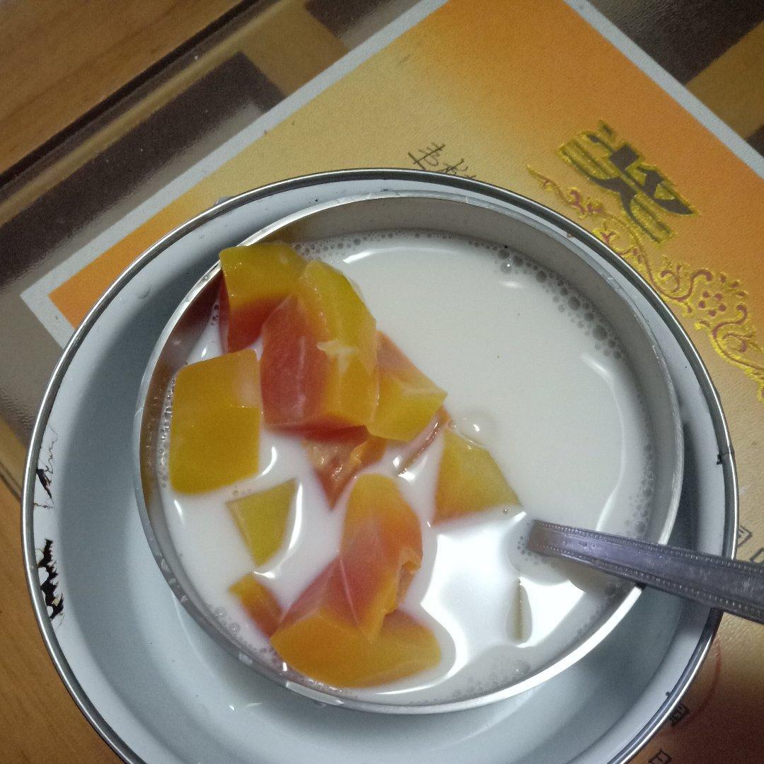 木瓜炖牛奶