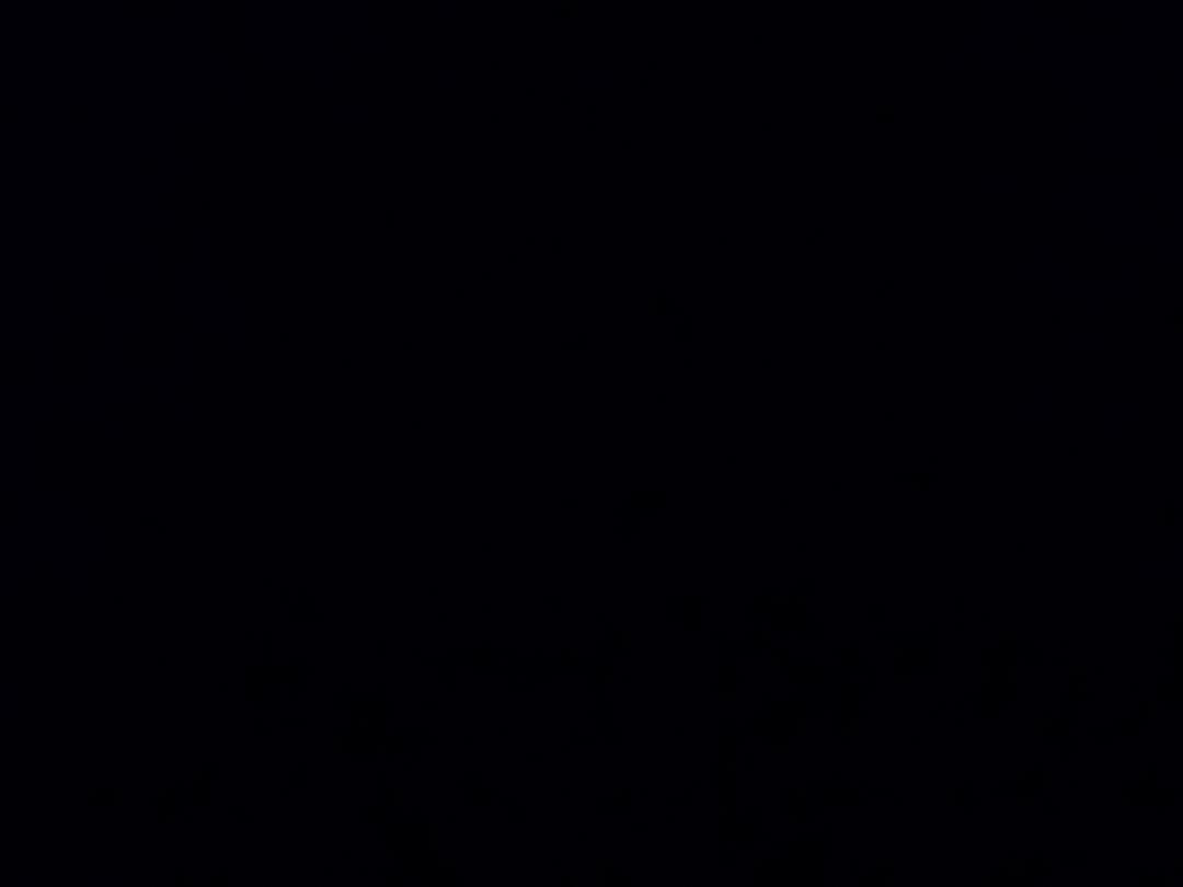 红烧鸡翅／炖鸡翅（新手）的做法