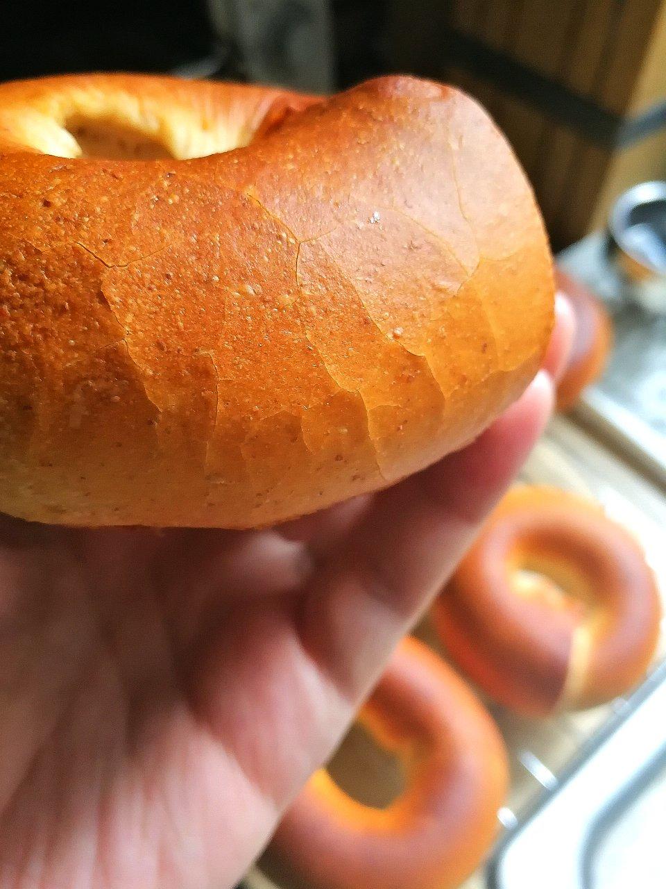 9升烤箱的食物探索