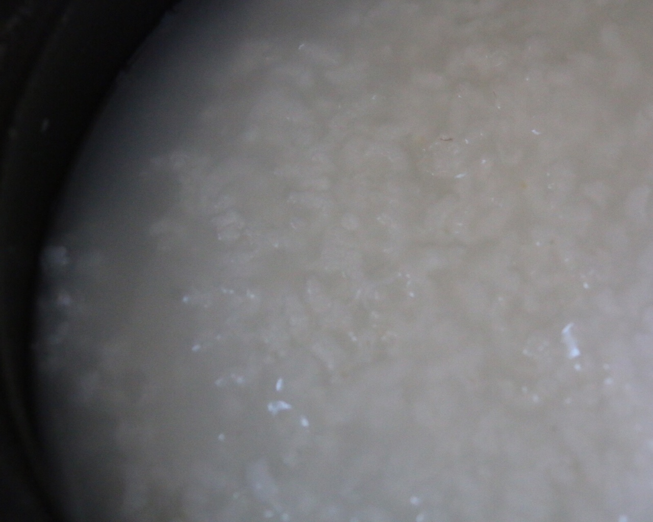百合米豆浆（九阳豆浆机版）的做法 步骤2