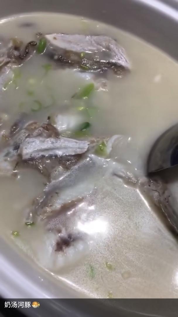 散步雪花做的奶汤河豚