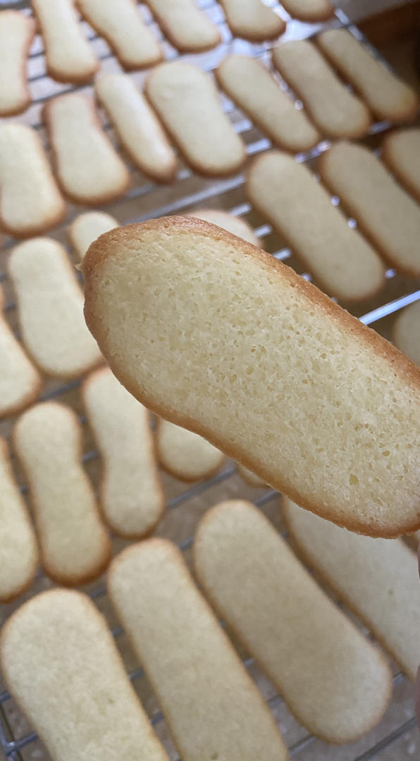 jennynwei做的超快手猫舌头饼干北海道白色恋人饼干