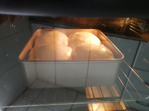 老式大面包〈冷藏发酵12小时〉的做法 步骤41
