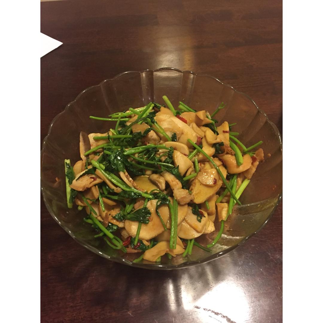 干锅杏鲍菇