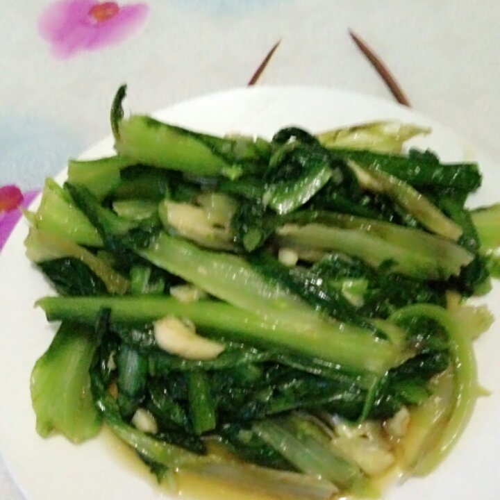 蚝油油麦菜