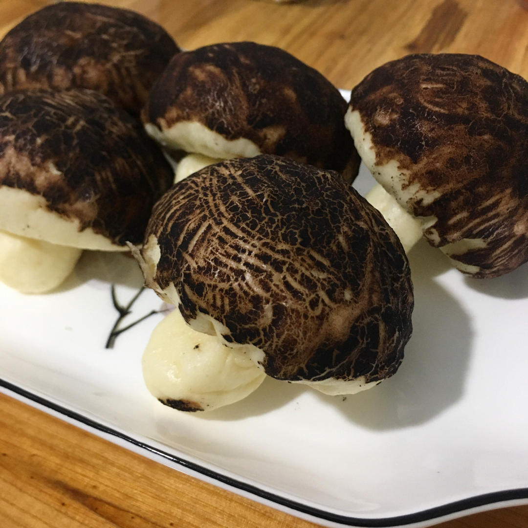 仿真香菇包