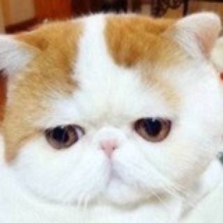 椒盐白菜