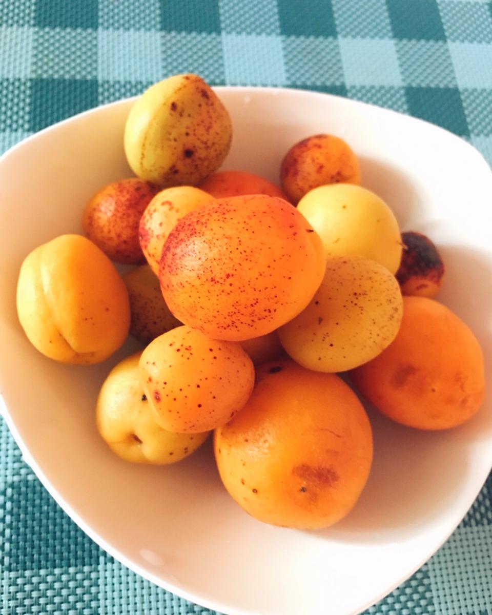 ☀李火火一天家小食🌸🍀