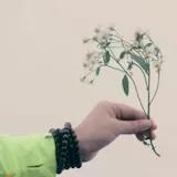 殊途但同归
