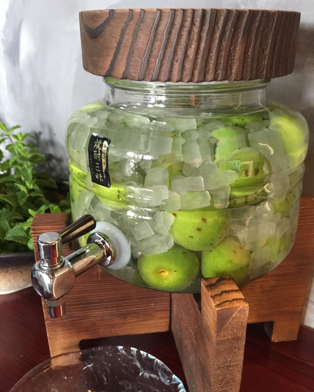 【青梅酒】梅子的沉醉时光（已填坑）