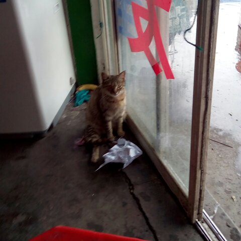 简单的土豆泥沙拉～