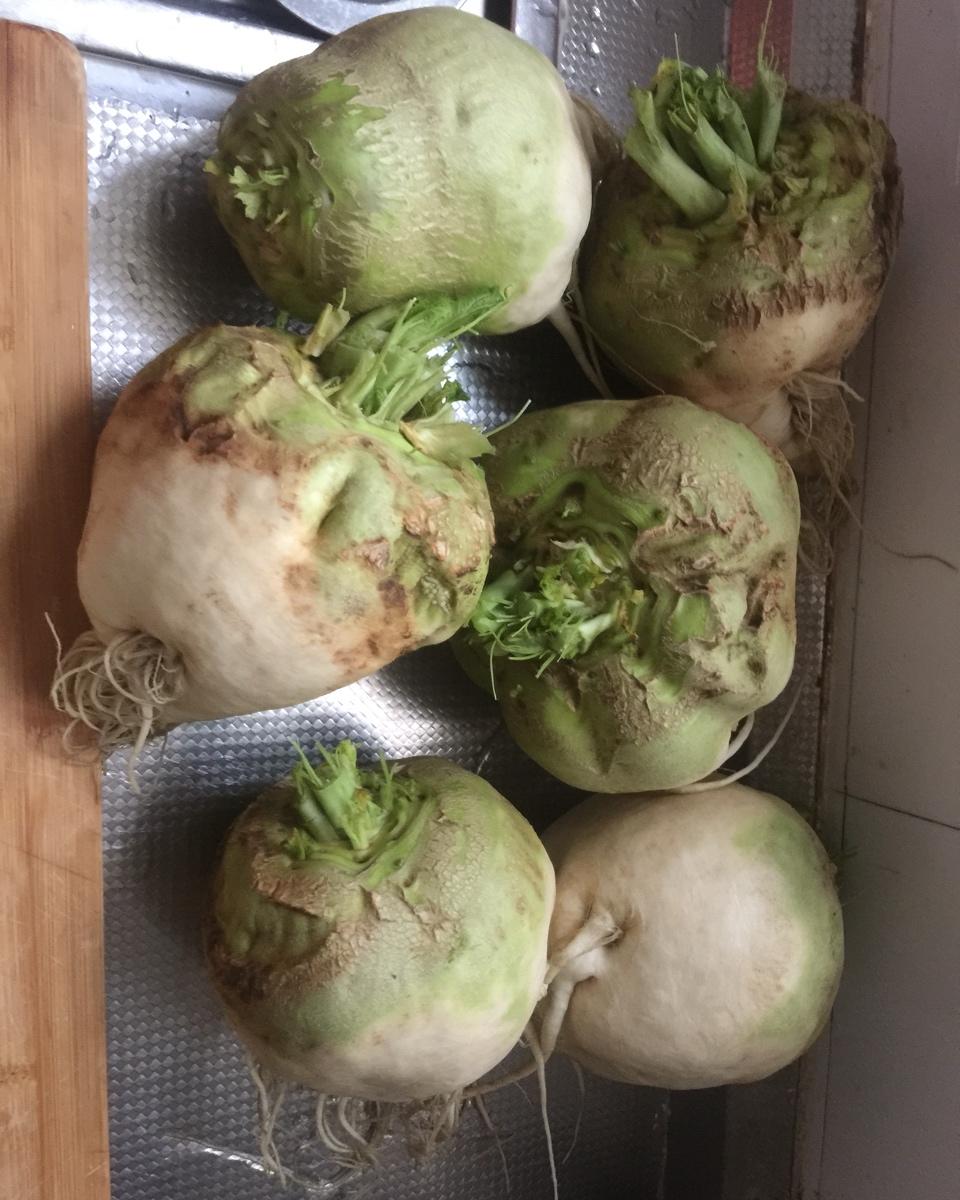 好吃的芥菜疙瘩咸菜