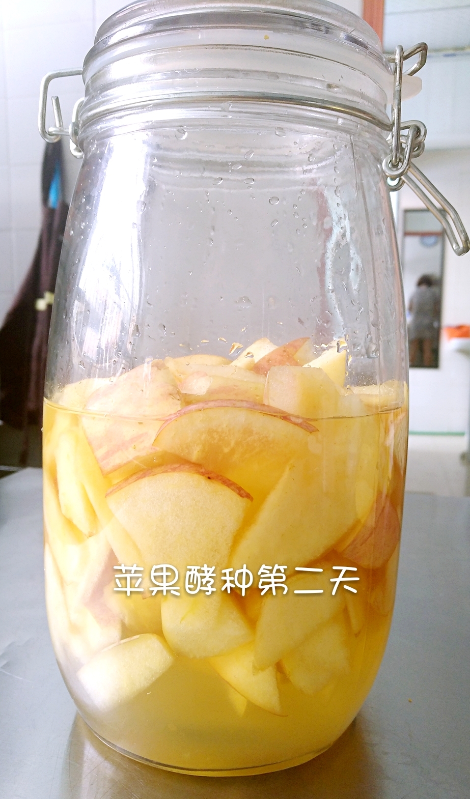 苹果酵种的做法 步骤2