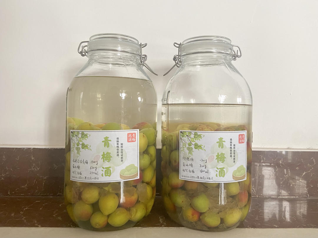 青梅酒（优的春日私酿第二話）