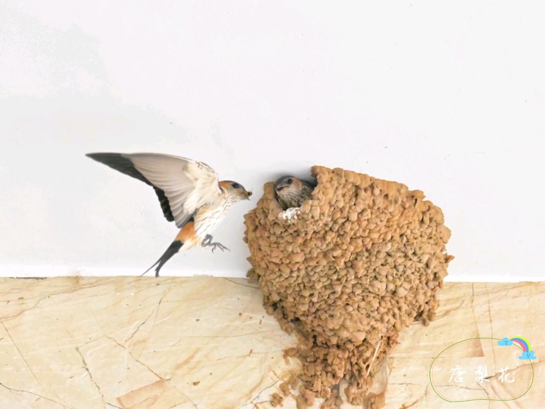 爱美食爱摄影