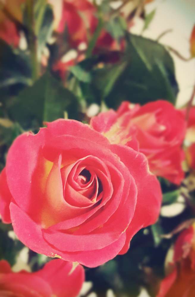 2015我最想说的话