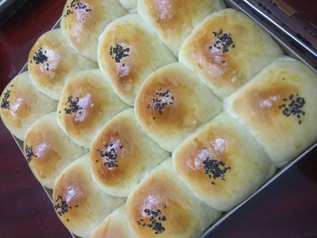 鲜奶油小餐包（一次发酵）