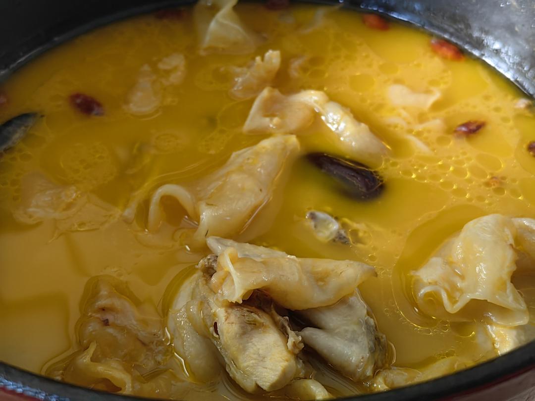 日常滋补系列——网红金汤花胶鸡汤