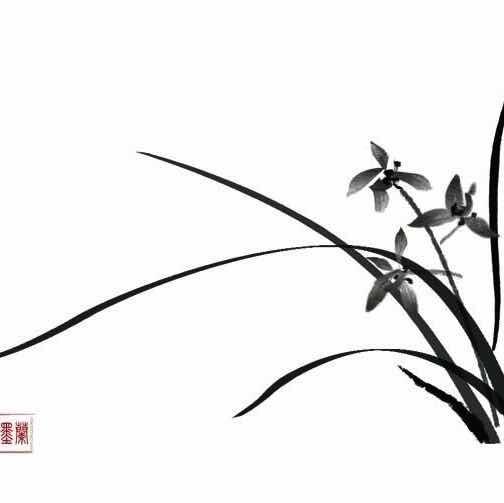 风飞花5