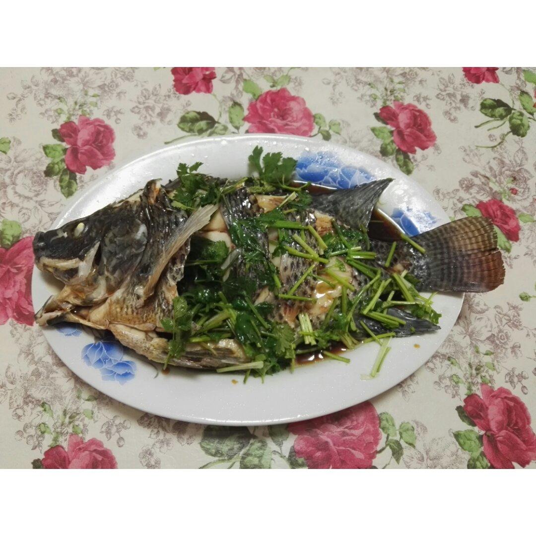 超入味清蒸鱼～清蒸鲈鱼桂花鱼（家常独创）