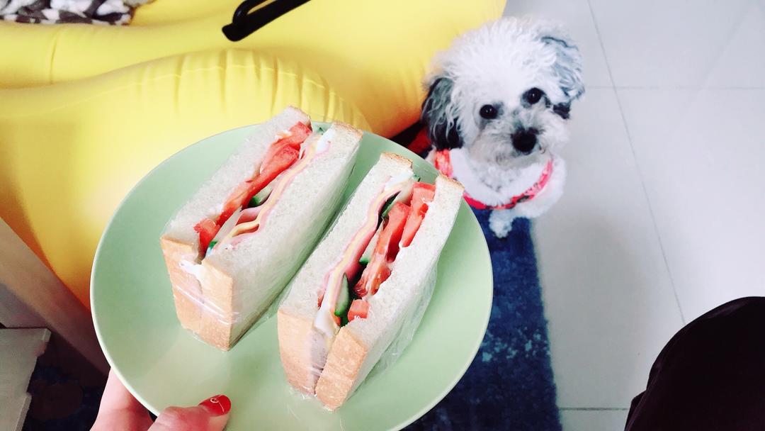 如何做超厚的沼三明治~详细tip！牛油果鸡蛋午餐肉三明治~