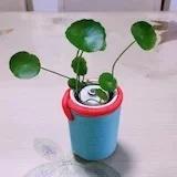 一起三餐四季