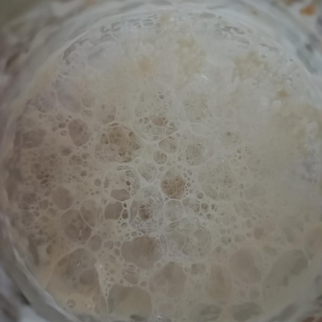 我的天然酵母养成记（葡萄菌种）