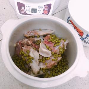鸽子绿豆汤的做法 步骤1