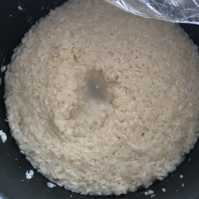 酒酿 (酒酿系列一）