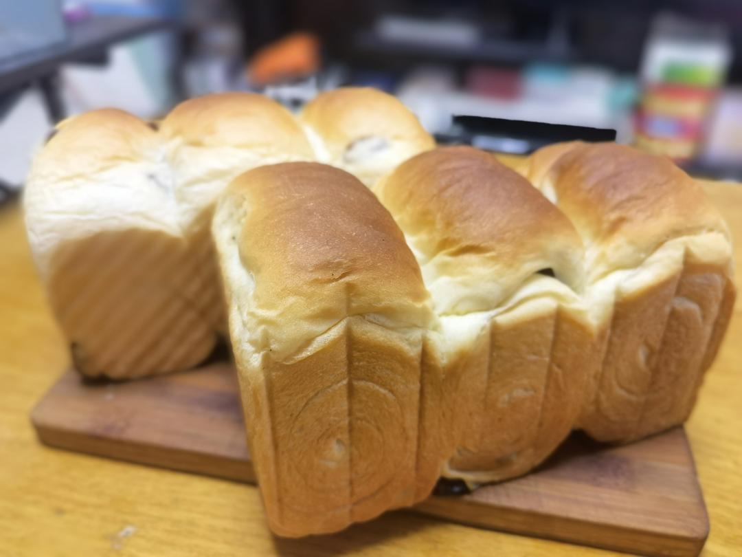 超柔软一发‼️奶香葡萄干手撕吐司『松软拉丝』