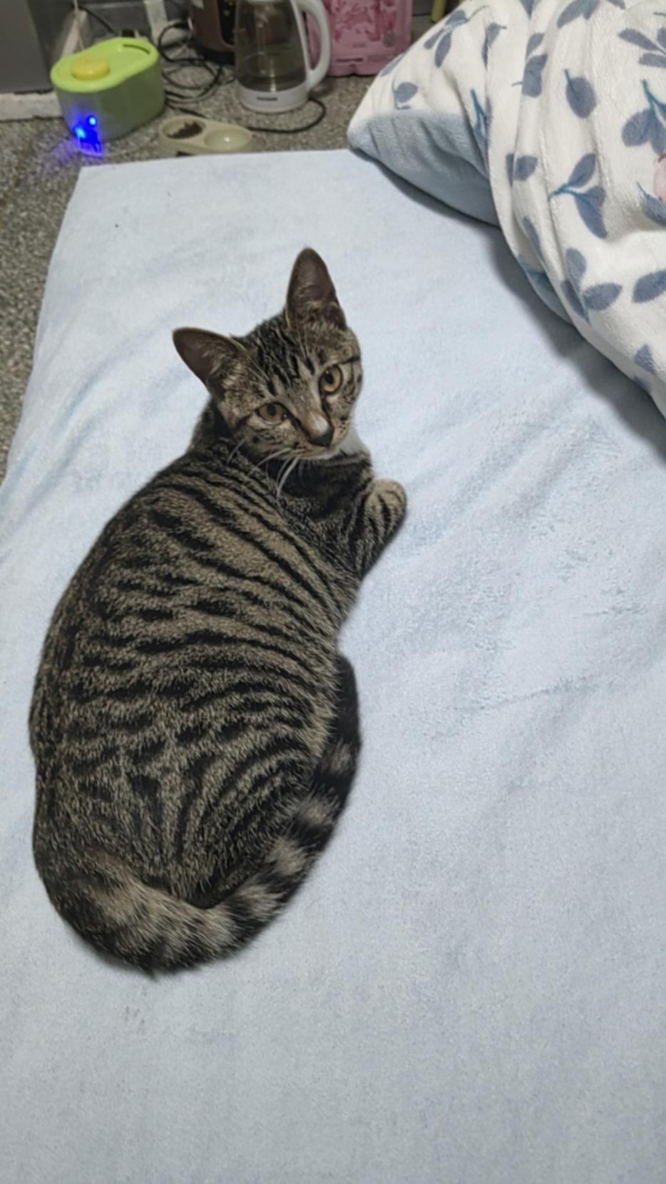 下厨房用户_hst0b