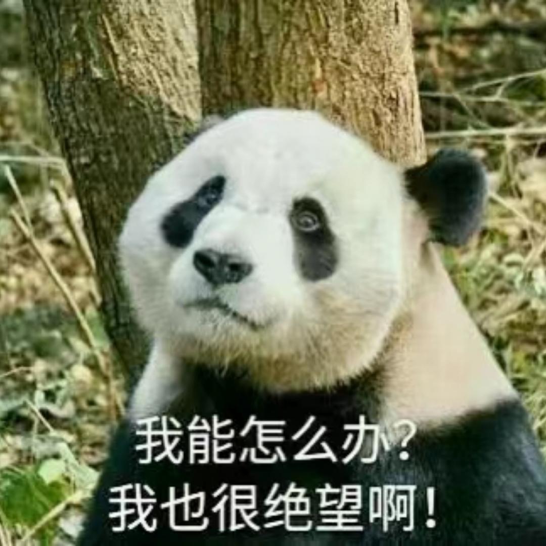 基里连科是只兔