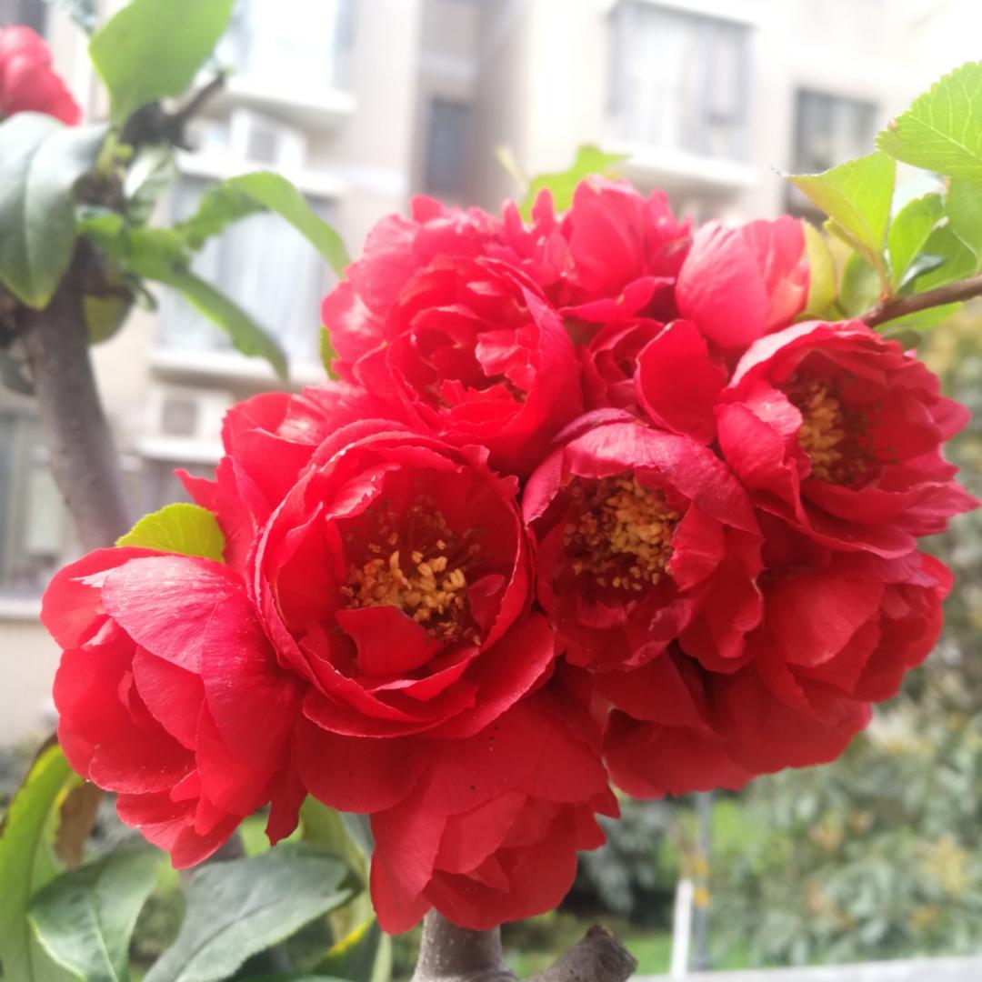 幸福，只因有你！！的厨房