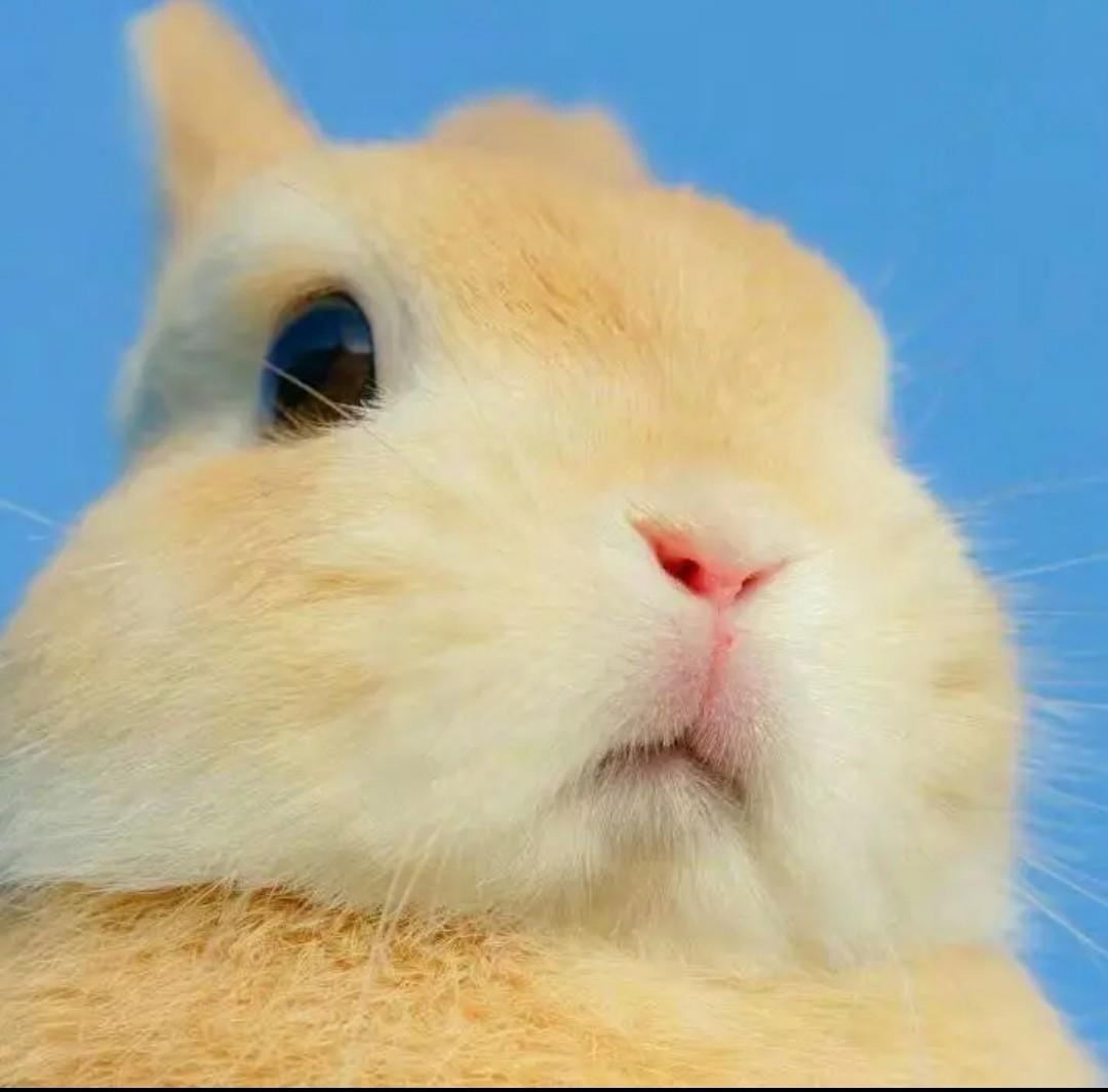 失联亿小时