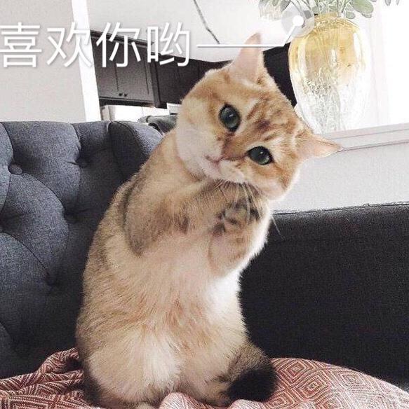 林da莹