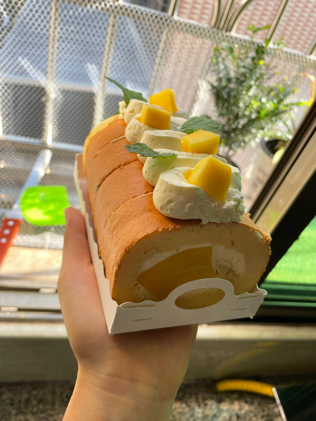 超详细的瑞士卷奶油蛋糕卷原味蛋糕卷的制作方法 饱满不掉皮不开裂（附模具换算方法）