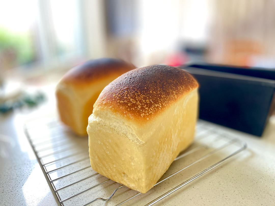 天然酵母山形白吐司—鲁邦种