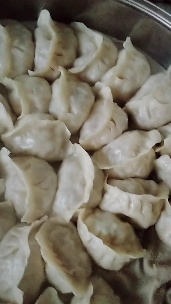 羊肉胡萝卜饺子