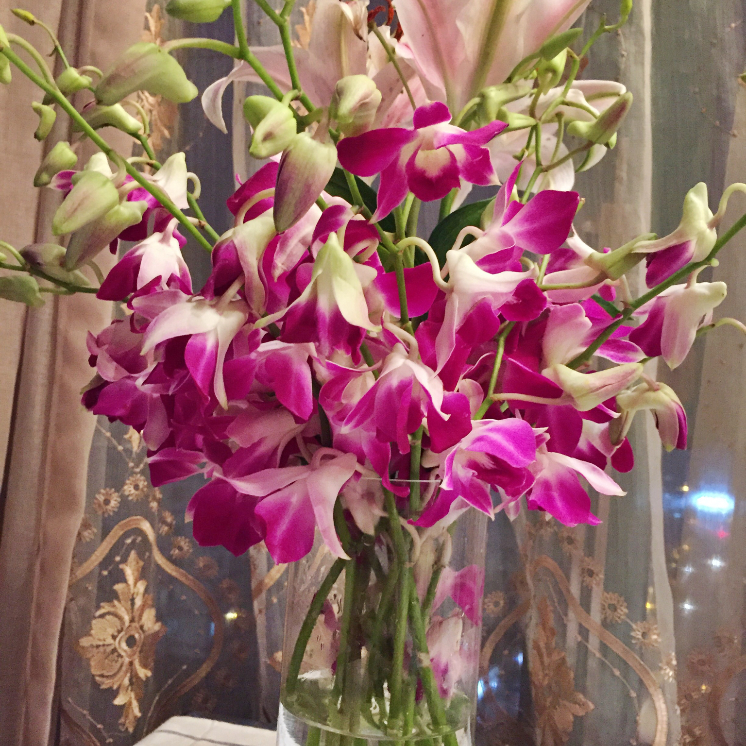 blue star少女杂货铺