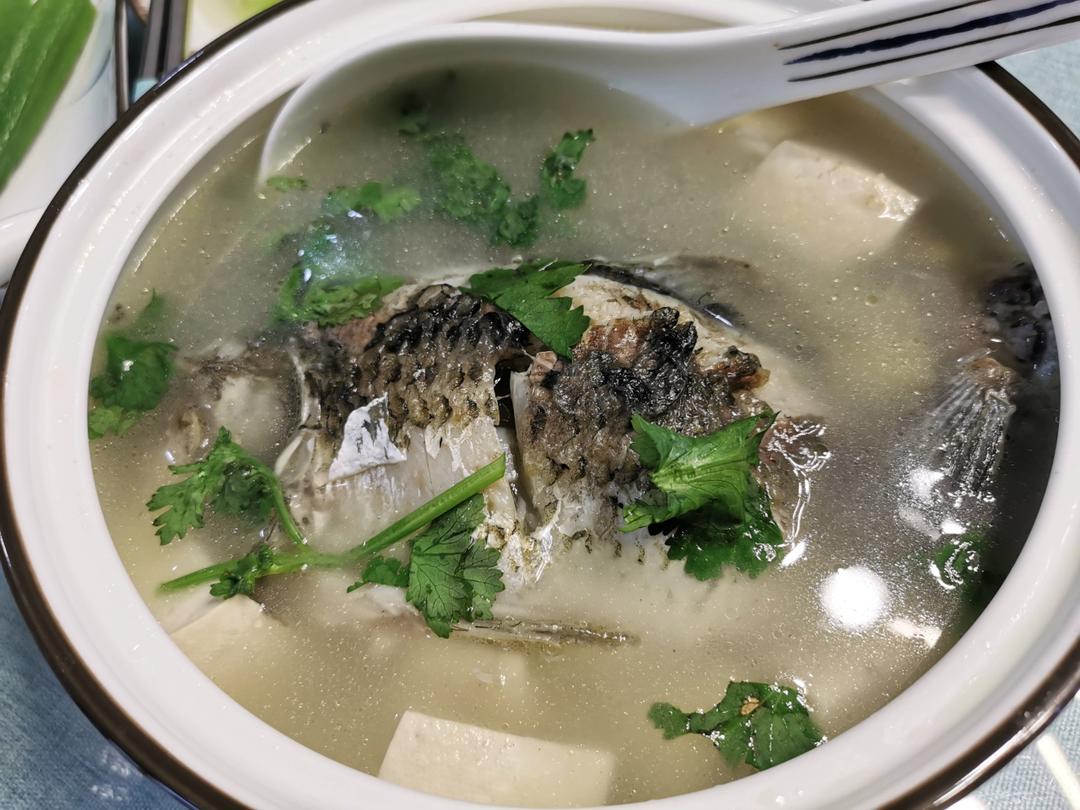这样做的鲫鱼汤超好喝，奶白奶白的