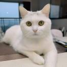 微信用户_X1P8_gmo7