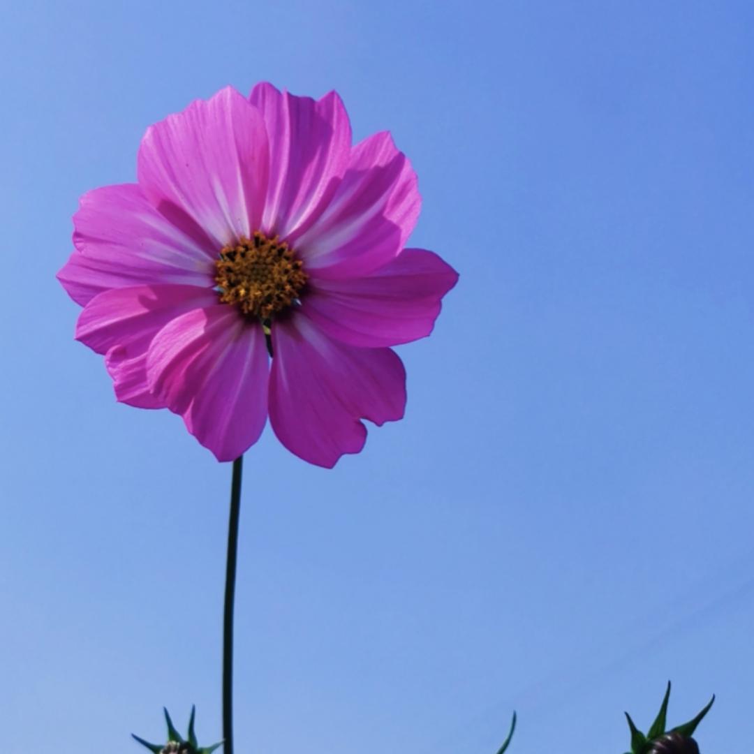 牛牛家的小厨房的厨房